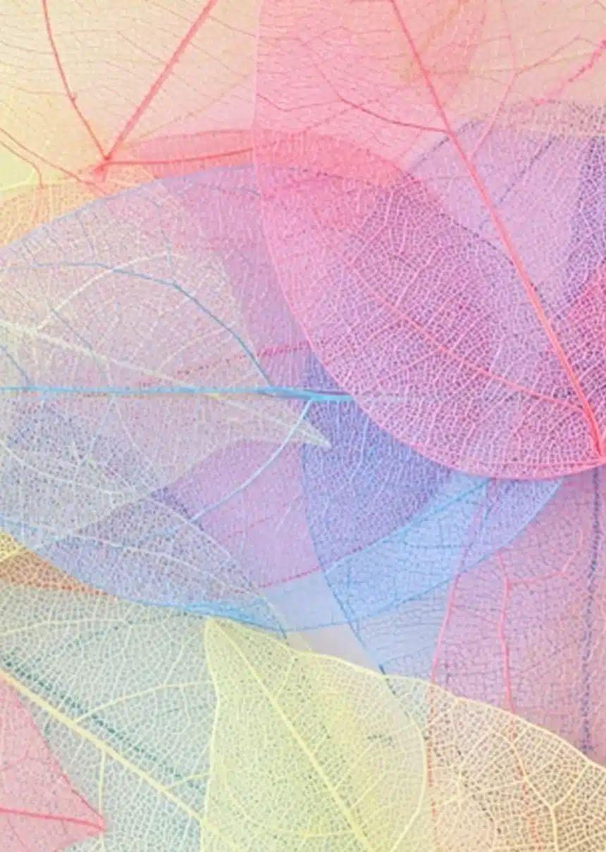 企業理念-エスキューブライフ株式会社