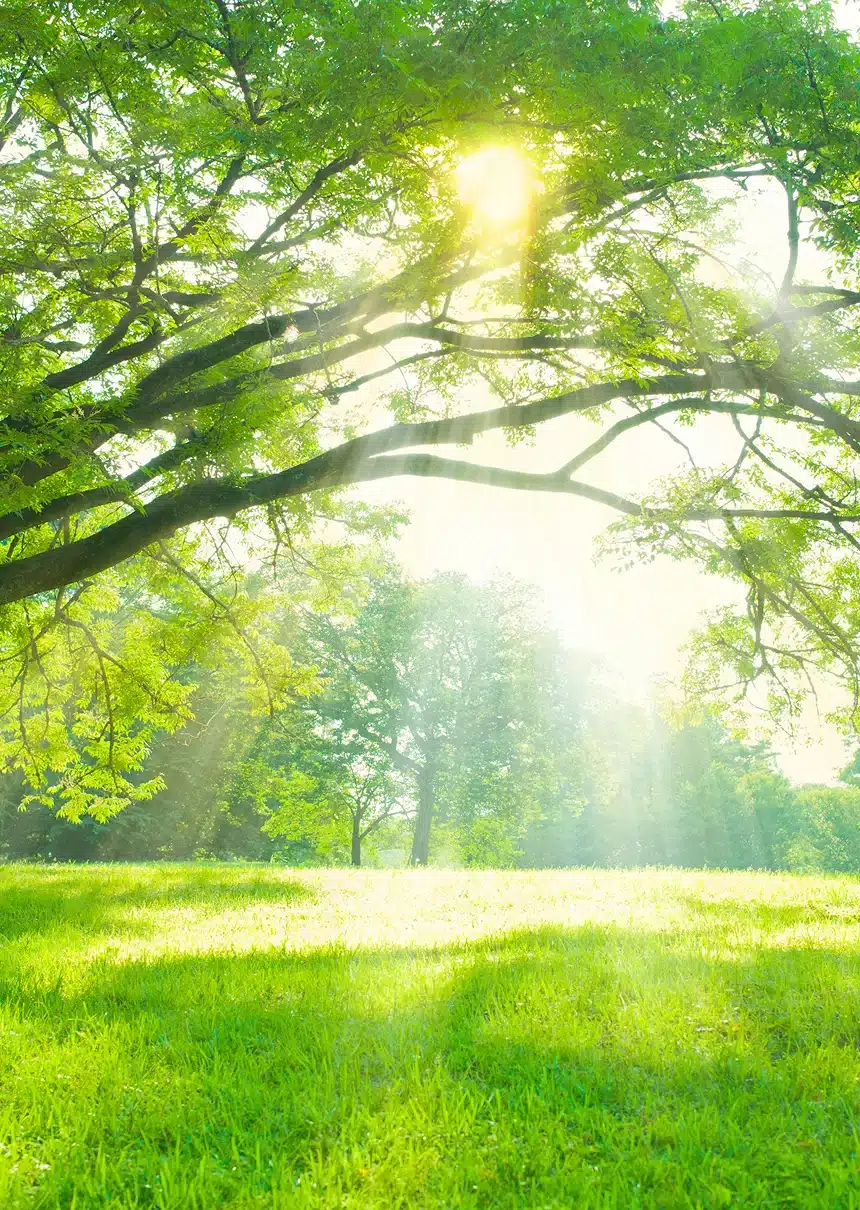 沿革-エスキューブライフ株式会社