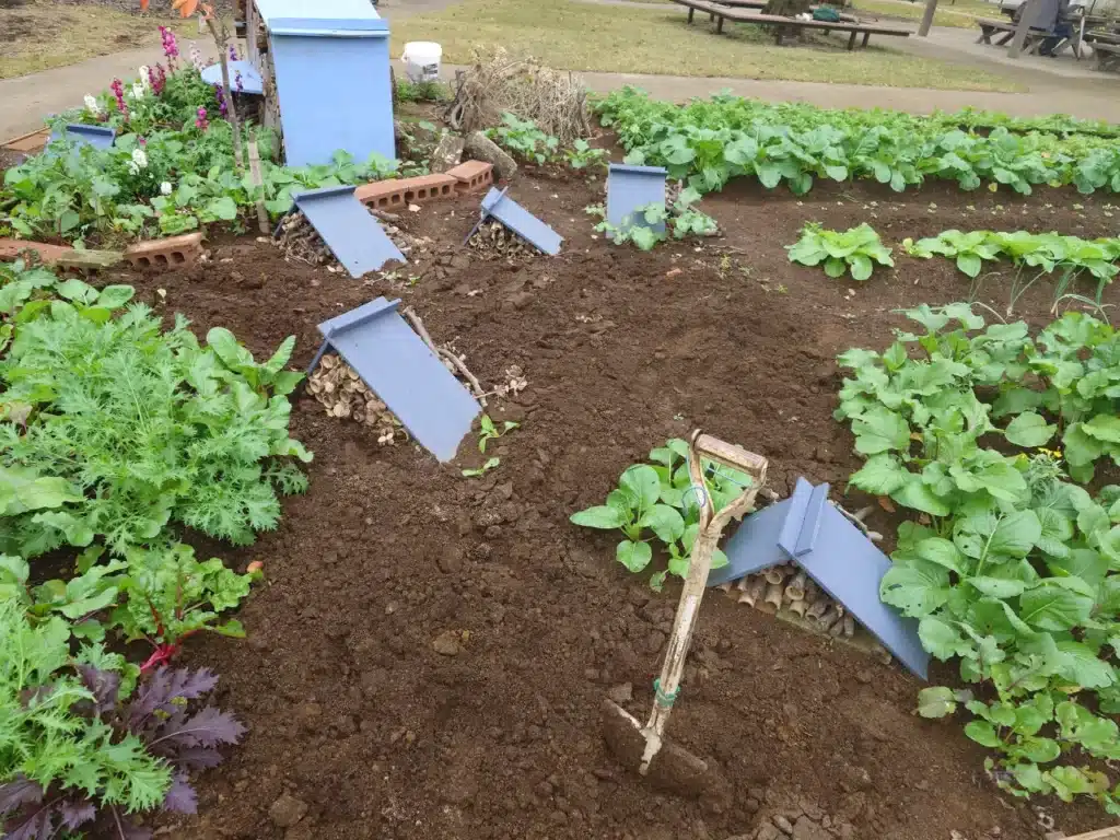 23d178e454f6b541e5489ebdb88b392d